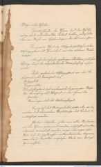 Nachlass Franz Steindachner, Prospect der Adria-Commission (Mai 1874), Inv.Nr. 4.01, Seite 17